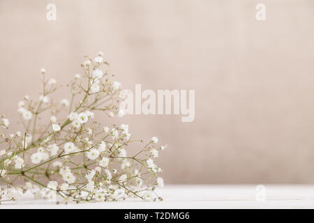 Kleine weiße Blumen gypsophila auf Holz Tisch in blassen Pastelltönen beigen Hintergrund. Minimale lifestyle Konzept. Kopieren Sie Platz. Stockfoto