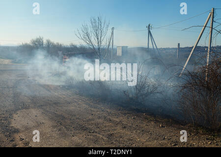 Im zeitigen Frühjahr, Feuer breitet sich durch trockene Vegetation, alles Brennen in den Weg. Dichter Rauch und große Brände verursachen Schaden der Landwirtschaft und environme Stockfoto