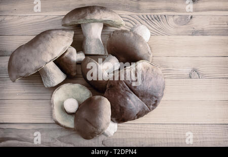 Auf einer hölzernen Tisch sind frische Pilze Steinpilze. Die Aussicht von oben. Stockfoto