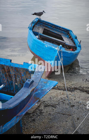 Eine blau lackierte Holz- Boot in einem kleinen Fischerhafen mit einer Möwe ruht auf ihm. Hochformat. Stockfoto