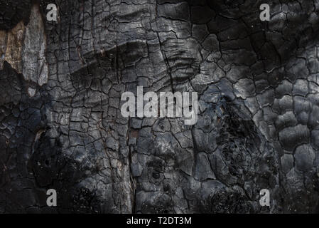 Verbrannte Rinde Hintergrund Textur Makro Stockfoto