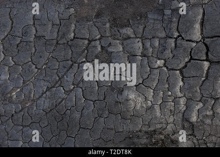 Verbrannte Rinde Hintergrund Textur Makro Stockfoto