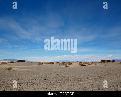 Anden Altiplano in der Nähe von San Antonio de los Cobres, Argentinien Stockfoto