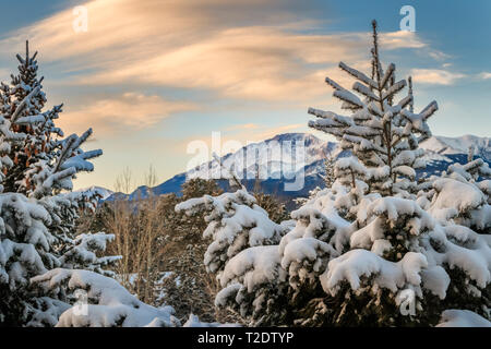 PIke's Peak von Woodland Park, Colorado, nach einem Frühling Schnee. Stockfoto