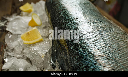 Lachs auf Eis in einem Fisch store Stockfoto