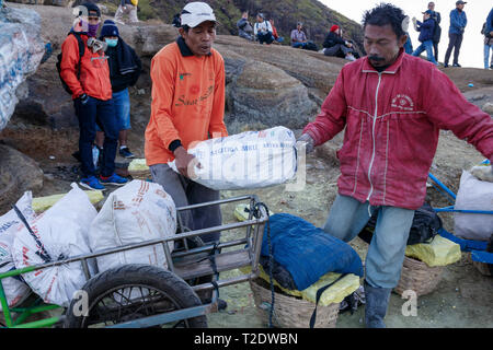 Bergleute laden schwere Taschen mit Schwefel auf kleinen Karren, während sie von Touristen beobachtet werden. Kawah Ijen, Java, Indonesien. Stockfoto