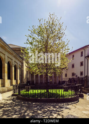 Der Baum der Guernica (Gernika), Baskenland. Sonnigen Tag Stockfoto
