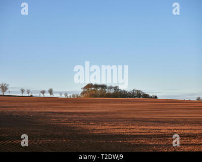 Lange Schatten von Bäumen über ein kürzlich umgepflügt abfallenden Feld wie der Sun One Anfang Frühling Morgen steigt. Arbroath, Schottland. Stockfoto