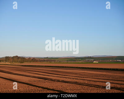 Baum Schatten über die rot braun Erde eines vor kurzem gepflügten Feldes in der Nähe von Arbroath, Blick in Richtung der Angus Glens im März. Schottland. Stockfoto