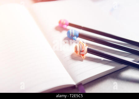 Offenen Notebooks für das Schreiben von Ideen und astrologische Geburt Geburtshoroskop Festlegung auf grauem Hintergrund. Kaffee und Planeten Stifte in der Nähe. Ansicht von oben. Idee der Astrol Stockfoto