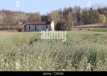 Wunderschöne Aussicht auf Land in der Nähe von Rocchetta Tanaro d'Asti, im Monferrato, mit Kirche von 'Ciappellette' Stockfoto