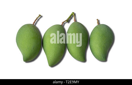 Mango Obst können sowohl roh und Reife gegessen werden. Raw Mango, grüne Kruste und meist weißen Fleisch, sauer, außer einige Sorten namens Mango ölig. Stockfoto