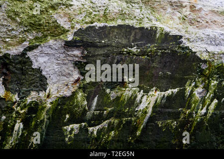 WWII Deutsche Bunker, Le Cayeux-sur-Mer, Cayeux-sur-Mer, Bucht der Somme, Somme, Haut-de-France, Frankreich Stockfoto