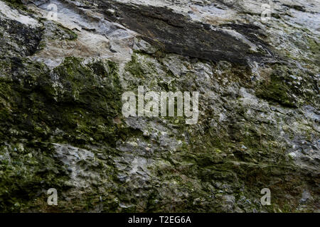 WWII Deutsche Bunker, Le Cayeux-sur-Mer, Cayeux-sur-Mer, Bucht der Somme, Somme, Haut-de-France, Frankreich Stockfoto