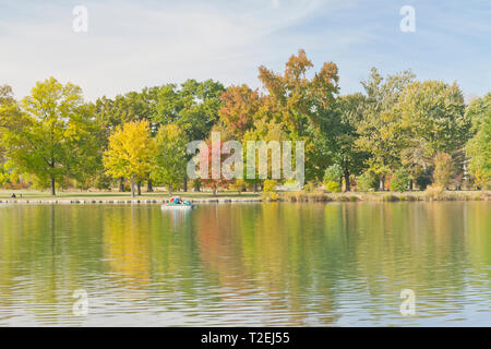 Ein sweetgum Baum steht oben Bäume mit herbstlaub als vier Frauen ein Tretboot fahren in den Pfosten - Abfertigung See in St. Louis Forest Park genießen. Stockfoto