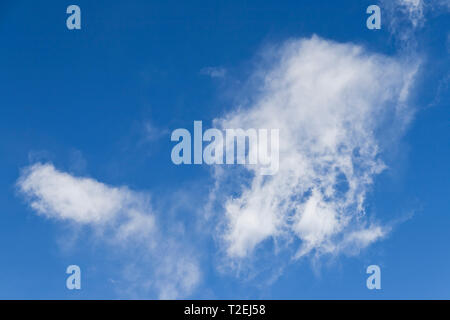 Helle weisse glob von Wolken in einem tiefen Blau Oktober spät - morgenhimmel. Die Form sieht aus wie ein Eskimo einen Schlitten ziehen. Stockfoto