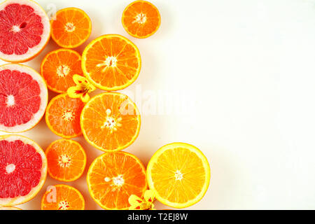 Bunte Zitrusfrüchte, einschließlich Blut, Grapefruits, Mandarinen, Orangen, Zitronen auf weißem Hintergrund mit kopieren. Stockfoto