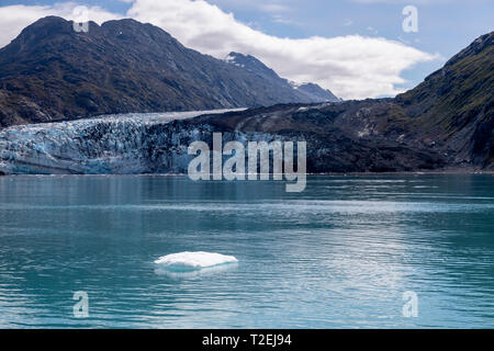 Lamplugh Gletscher in Johns Hopkins Einlass, Glacier Bay National Park, Alaska Stockfoto