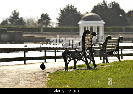 Verzierten gusseisernen Bänke an der Seite von Stanley Park See mit Musikpavillon im Hintergrund an einem sonnigen Tag Stockfoto