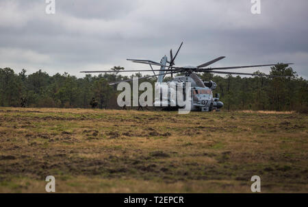 Royal Dutch Marines mit 32 Streifzüge Geschwader von einem CH-53 Super Hengst während der Niederländischen bilateralen Training in Camp Lejeune, N.C., 26. März 2019 entladen. Bilaterale Ausbildung zwischen dem US Marine Corps und der Royal Dutch Marines stärkt bestehende Interoperabilität zwischen den beiden Nationen und verbessert die counternarcotic und Anti-terror-Fähigkeiten. (U.S. Marine Corps Foto von Lance Cpl. Nello Miele) Stockfoto