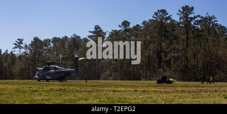 Ein CH-53 Super Hengst bereitet eine Unfallversicherung während der Niederländischen bilateralen Training in Camp Lejeune, N.C., 29. März 2019 zu evakuieren. Bilaterale Ausbildung zwischen dem US Marine Corps und der Royal Dutch Marines stärkt bestehende Interoperabilität zwischen den beiden Nationen und verbessert die counternarcotic und Anti-terror-Fähigkeiten. (U.S. Marine Corps Foto von Lance Cpl. Nello Miele) Stockfoto