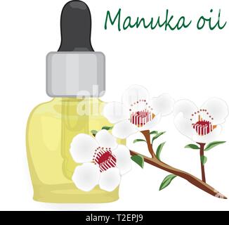 Manuka öl Vektor-illustration Aromatherapie. Gesundheitswesen Stock Vektor