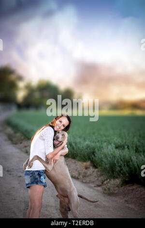 Weimaraner hound junge Frau, die eine Umarmung Stockfoto