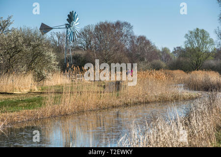 Neuer Wind Pumpe am Ufer des Burwell Lode Binnengewässern auf Wicken Fen Naturschutzgebiet, Cambridgeshire, England, Großbritannien Stockfoto