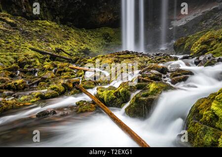 Wasserfall, Tamanawas fällt, Langzeitbelichtung, wilden Fluss Cold Spring Creek, Oregon, USA Stockfoto