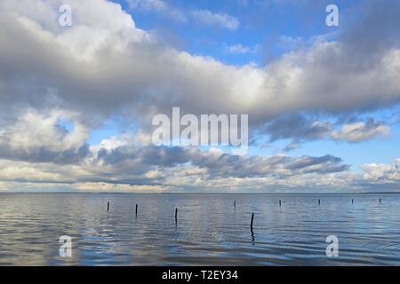 Blauer Himmel mit Tiefziehen Haufenwolken (Cumulus) im Wattenmeer, Nordsee, Norddeich, Niedersachsen, Deutschland wider Stockfoto