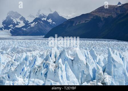Gletscherzunge, Glaciar Perito Moreno Gletscher, Gletscher, Nationalpark Los Glaciares, Anden, El Calafate, Santa Cruz, Patagonien, Argentinien Stockfoto