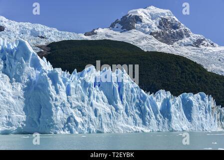 Gletscherzunge, Glaciar Perito Moreno Gletscher, Gletscher, Gletscher, Nationalpark Los Glaciares, Anden, El Calafate, Santa Cruz Stockfoto