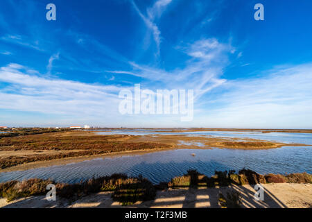 Naturpark der Ebro Delta, Tarragona, Katalonien, Spanien, Europa. Stockfoto