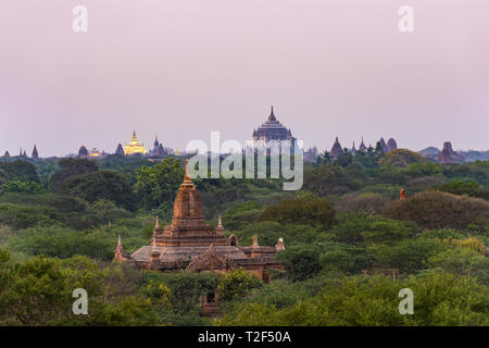 Atemberaubende Aussicht auf die schöne Bagan archäologische Zone mit der thatbyinnyu Tempel und die beleuchtete Golden Palace im Hintergrund, während Sie im Sonnenuntergang Stockfoto