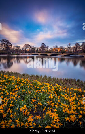 Frühling Landschaft Szene mit schönen gelben Narzissen im Vordergrund und ein See und ein dramatischer blauer Himmel mit Wolken aufgenommen mit der langen Belichtungszeit in Stockfoto