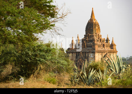 Atemberaubende Aussicht auf einem der vielen Tempel in Bagan (ehemals Heidnischen) während des Sonnenuntergangs. Grüne Vegetation umgeben dieses schöne buddhistische Tempel. Stockfoto