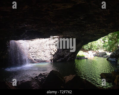 Natürliche Brücke Springbrook National Park Stockfoto