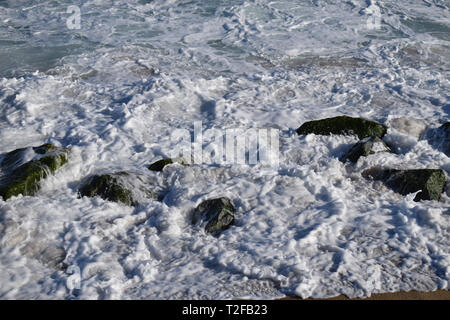 Meer Hackfleisch in Cabrera de Mar Barcelona Stockfoto