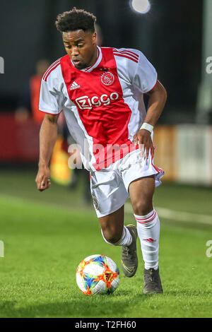 AMSTERDAM, 01-04-2019, Sportpark De Toekomst, Keuken Kampioen Divisie, Jong Ajax - Cambuur, Saison 2018 / 2019, Jong Ajax-player Che Nunnely während des Spiels Jong Ajax - cambuur Stockfoto