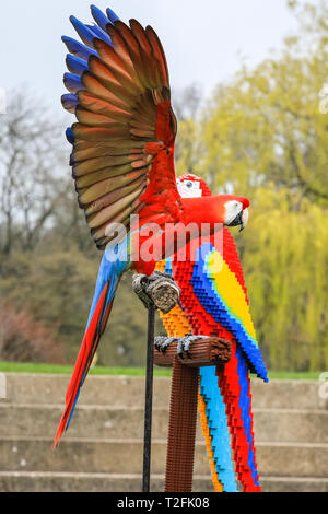 Whipsnade Zoo, Bedfordshire, Großbritannien. 2 Apr, 2019. Inca der hellrote Ara inspiziert die Lego Vögel. Echte Aras Inca und Bolivien auf ZSL Whipsnade Zoo von Angesicht zu Angesicht mit den LEGO Stein Zwillinge kommen. Wächter: Jamie. Eine lebensgroße Skulptur von zwei bunten Aras auf einer Stange, Gesichter der ultimative Test, wenn es sorgfältig von eigenen realen im Zoo - Leben Ara geprüft, männliche hellrote Ara, Inca, und weibliche Military macaw, Bolivien. Die beiden LEGO Vögel sind Teil der neuen "Großen Backstein Safari' für Besucher, die während der Osterferien. Credit: Imageplotter/Alamy leben Nachrichten Stockfoto