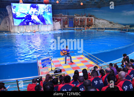 (190402) - Qingdao, April 2, 2019 (Xinhua) - Zheng Senyou spielt Gitarre für Menschen in Qingdao, in der ostchinesischen Provinz Shandong, am 1. April 2019. Zheng Senyou, ein 16-jähriger Jugendlicher, war Autismus im Alter von vier Jahren bestimmt. Wie ein autistisches Kind, leidet er an Geselligkeit und Sprachstörungen. Als allgemeine medizinische Behandlung half wenig, Zheng und seine Familie sind auf der Suche nach Optionen und kennen DFH (Tauchen für die Menschheit), eine gemeinnützige Organisation und das Tauchen Behandlung. Nach einem Zeitraum von neun Monaten Behandlung, seine Außerbetriebnahme wurde gemildert. Einen Tag vor der Welt Auti Stockfoto