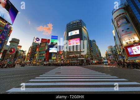 Shibuya Fußgängerüberweg in Shibuya mit Lichter in der Nacht, Tokio, Japan Stockfoto