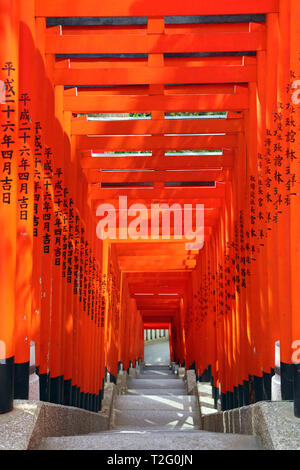 Tunnel der rote Torii Gates im Hie Heiligtum in Asakasa, Tokio, Japan Stockfoto