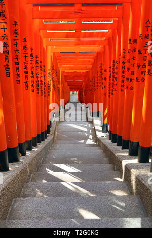 Tunnel der rote Torii Gates im Hie Heiligtum in Asakasa, Tokio, Japan Stockfoto