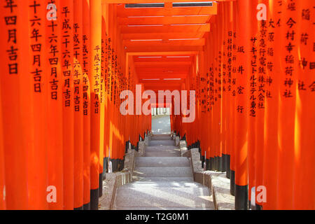 Tunnel der rote Torii Gates im Hie Heiligtum in Asakasa, Tokio, Japan Stockfoto