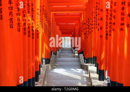 Tunnel der rote Torii Gates im Hie Heiligtum in Asakasa, Tokio, Japan Stockfoto