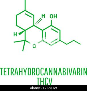 Tetrahydrocannabivarin chemischen Formeln der natürlichen Cannabinoide. Stock Vektor