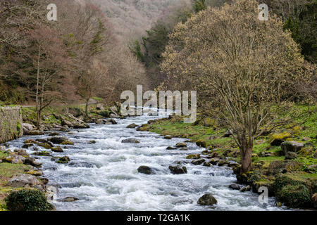 Lynton, River Gorge mit dem Zusammenfluss von West Lyn und Osten Lyn Flüsse, Devon, England, UK. Stockfoto