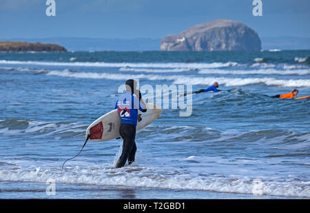 Surfer an Belhaven Bay mit Bass im Hintergrund, Dunbar, Schottland, Großbritannien, Europa Stockfoto