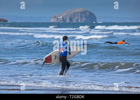 Surfer an Belhaven Bay mit Bass im Hintergrund, Dunbar, Schottland, Großbritannien, Europa Stockfoto